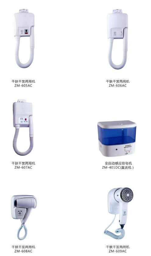 干肤干发两用机(图1)