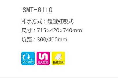 SMT-6110(图1)