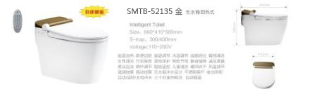 SMTB-52135(图1)