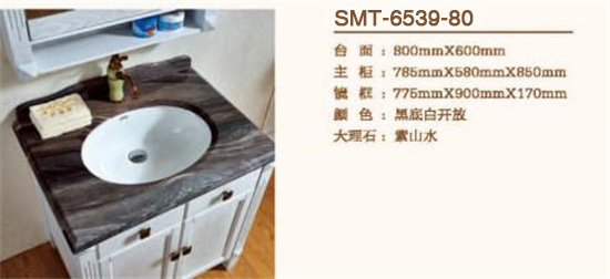 SMT-6539-80(图1)
