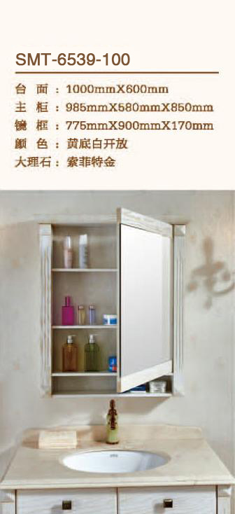 SMT-6539-100(图1)